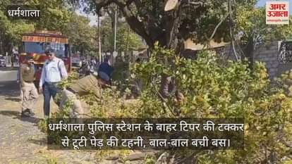 VIDEO : Outside Dharamshala Police Station, a tree branch broke due to a collision with a tipper, a bus narrowly escaped