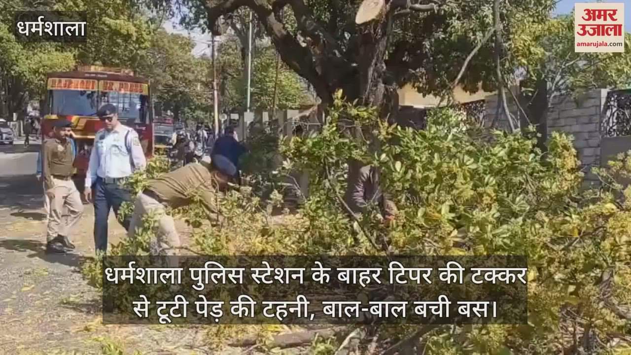 VIDEO : Outside Dharamshala Police Station, a tree branch broke due to a collision with a tipper, a bus narrowly escaped