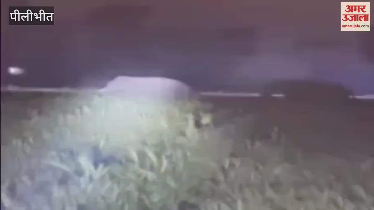 VIDEO : Nepalese elephants created havoc in Pilibhit