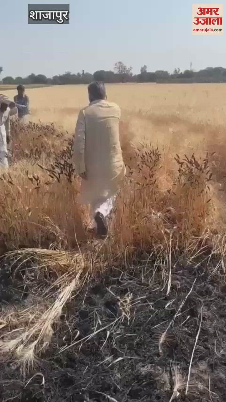 gehun ke khet mein fasal mein lagi Aag bujhane utare uchch shiksha mantri Inder Singh Parmar