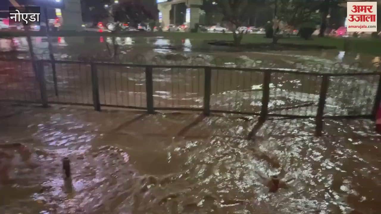 VIDEO : Water flowed on the road due to breakage of pipeline, no water supply in many places