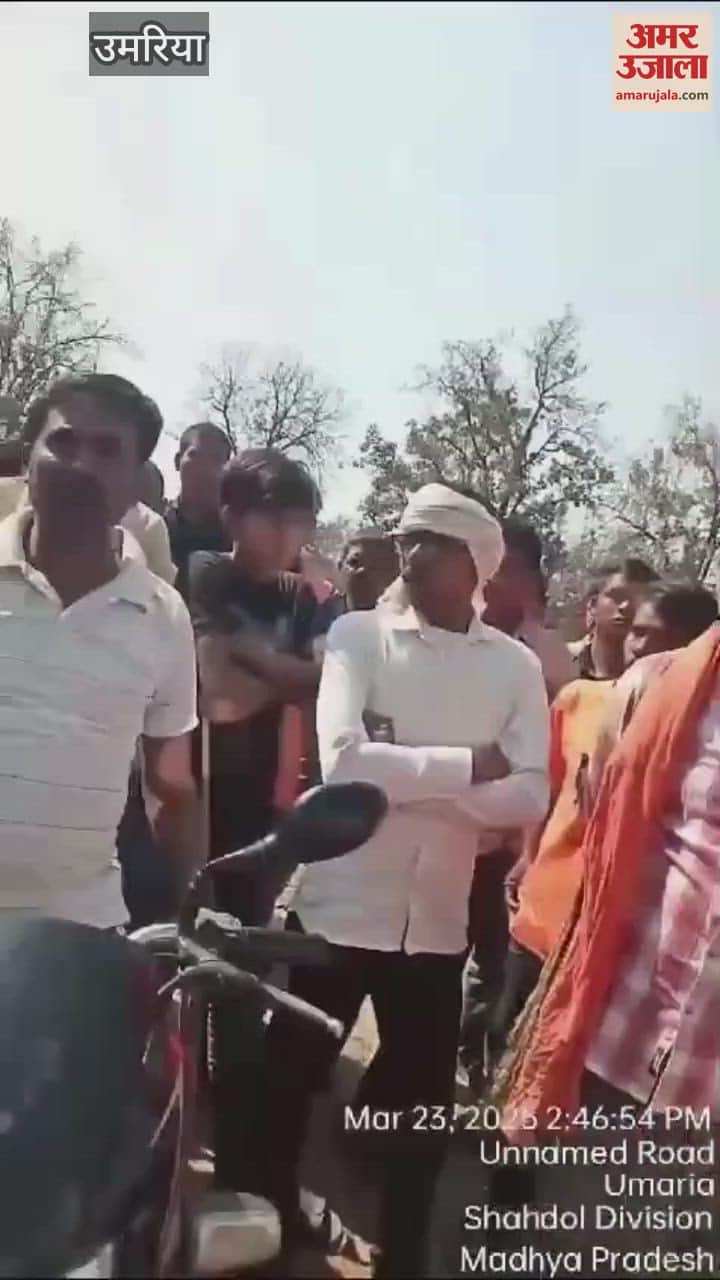 Umaria News: Chansura resident dies due to tiger attack