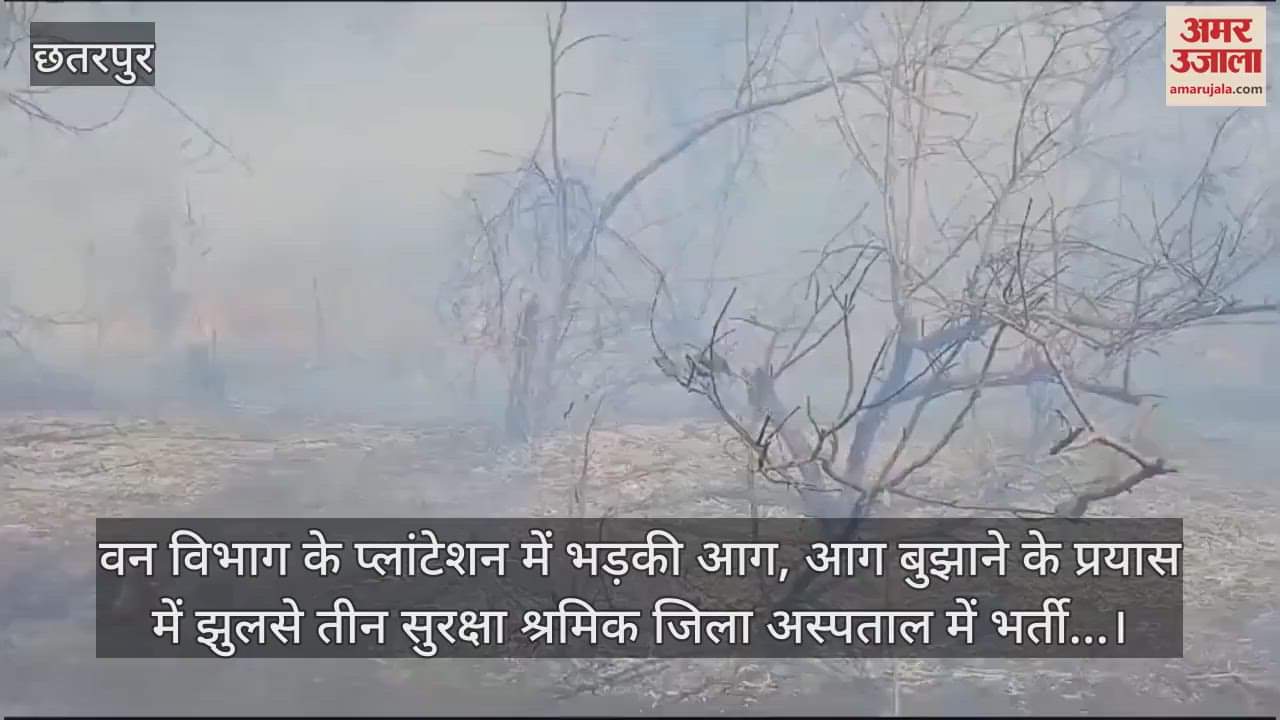 Chhatarpur News: Three security workers were burnt in a fire in the forest department plantation