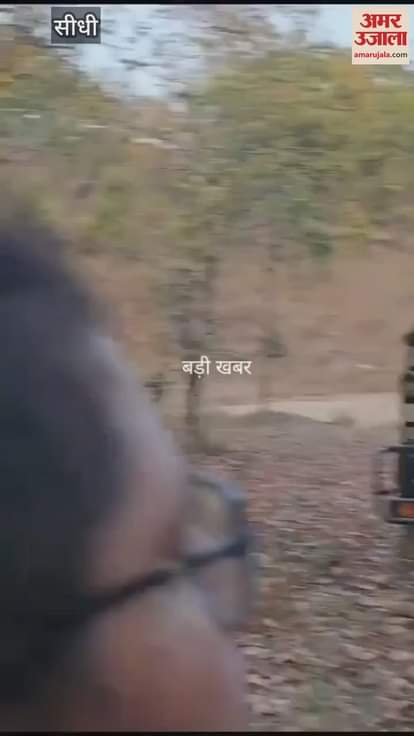 Sidhi News: Sidhi collector accused of violating Tiger Reserve rules