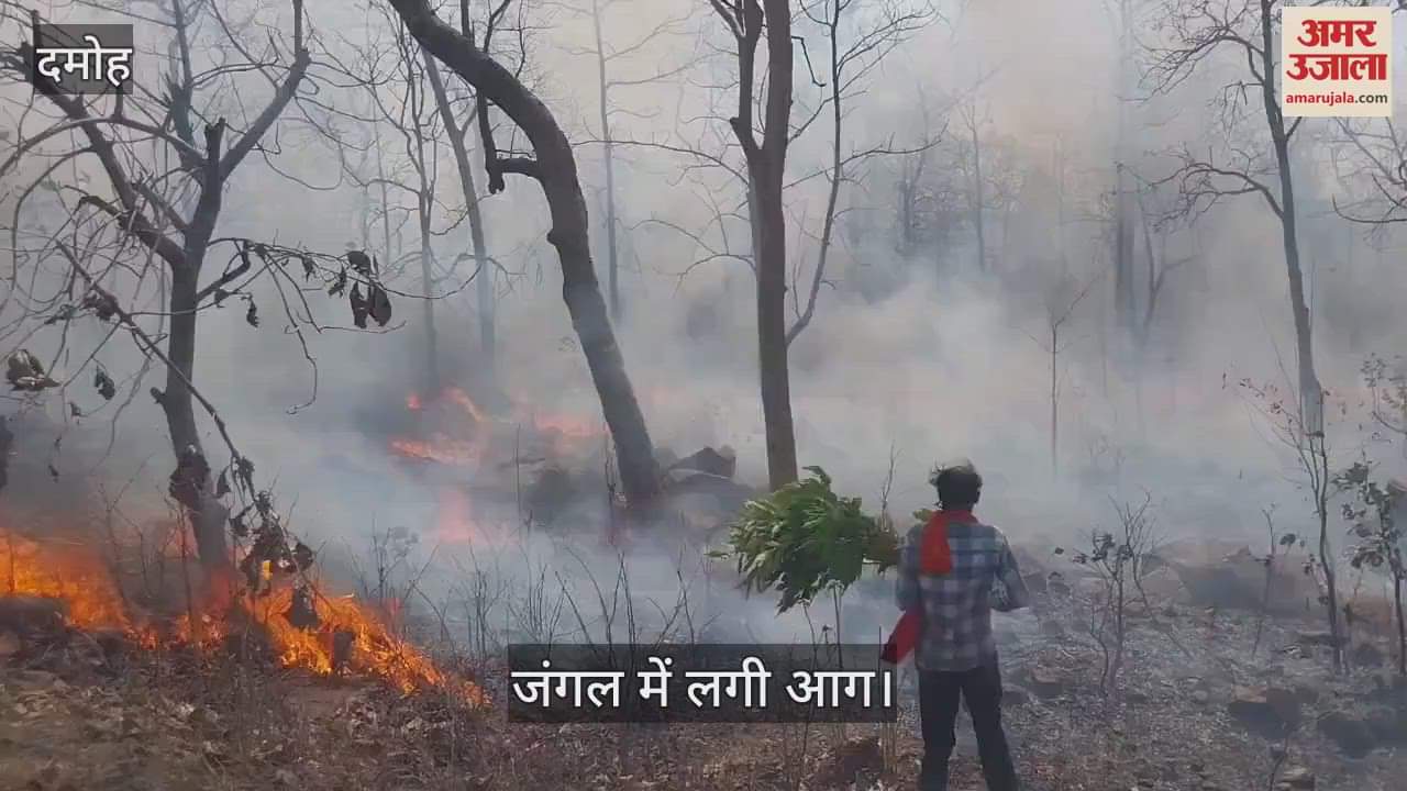 Damoh News: A huge fire broke out in the Dukarsata Beat forest and spread to one hectare