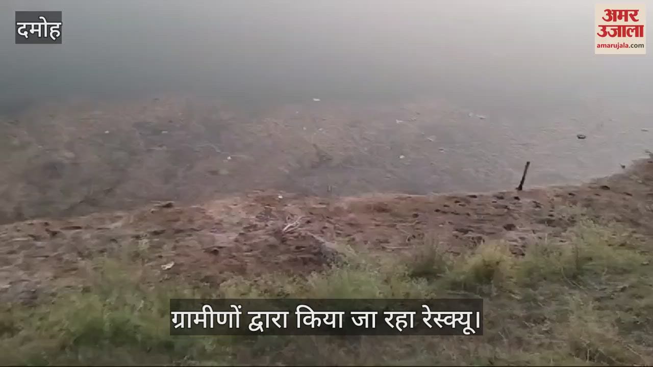 Damoh News: Villagers rescued a crocodile that came out of Byarma river
