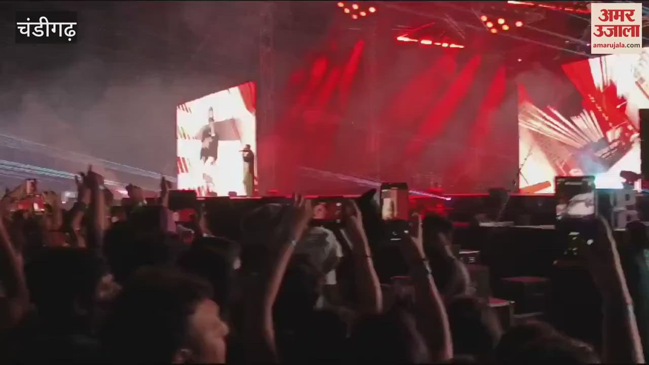 VIDEO : People danced to Honey Singh's songs in Chandigarh