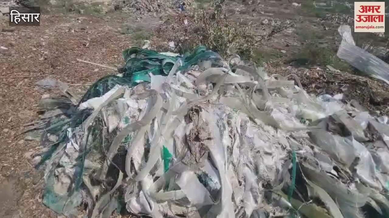 VIDEO : हिसार में अवैध रूप से बनाया डंपिंग यार्ड, जलाया जा रहा औद्योगिक कचरा