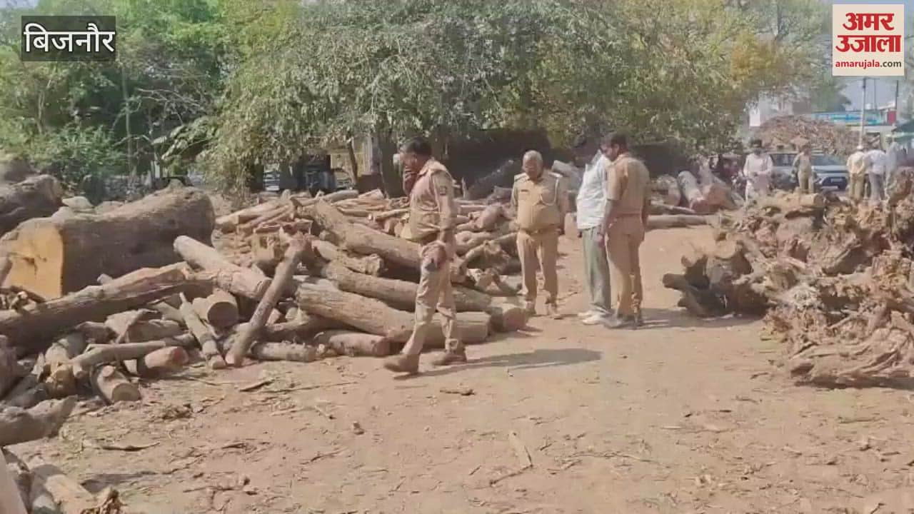 VIDEO : Bijnor: A cache of banned wood found in Sal