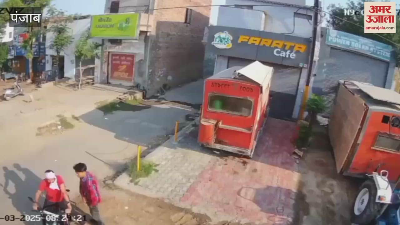 VIDEO : मोगा में चोरों की हरकत, चुराया सब्जी से भरा बैग