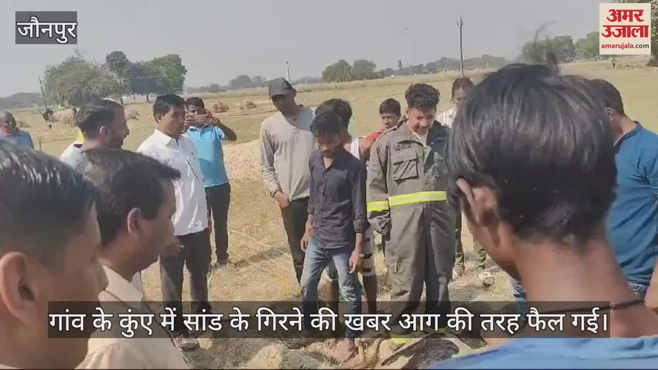 VIDEO : Nandi rescued in Jaunpur fell into a well commotion in the village