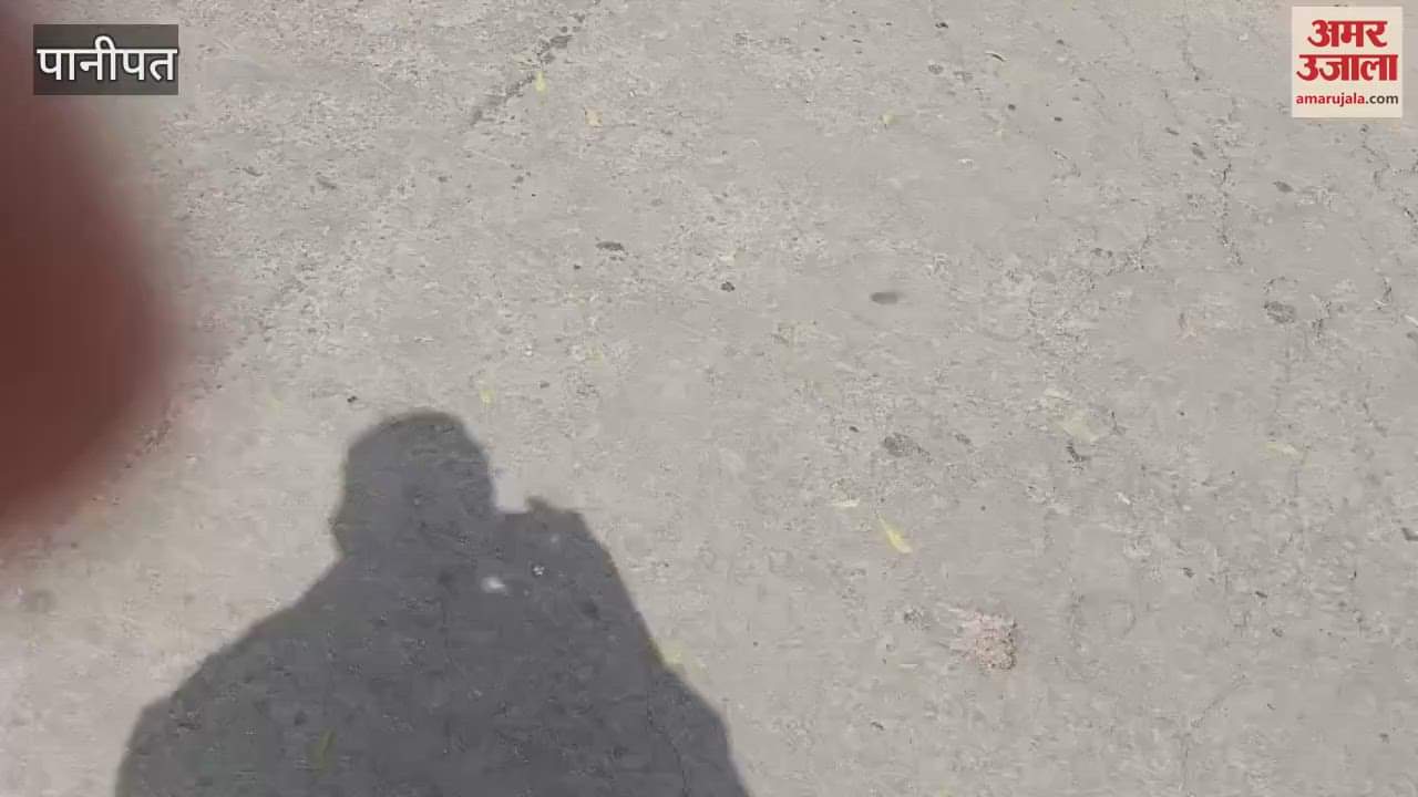 VIDEO : old student stabbed to death in Panipat, body found in fields