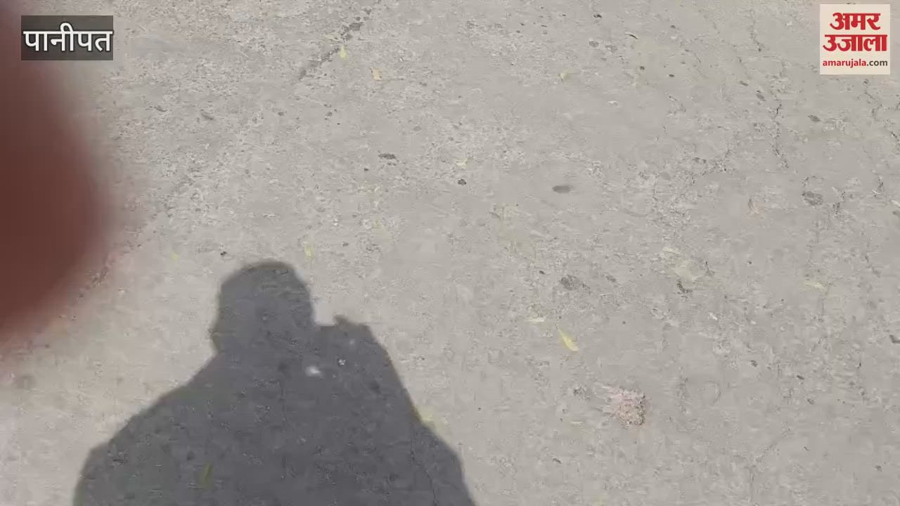 VIDEO : old student stabbed to death in Panipat, body found in fields