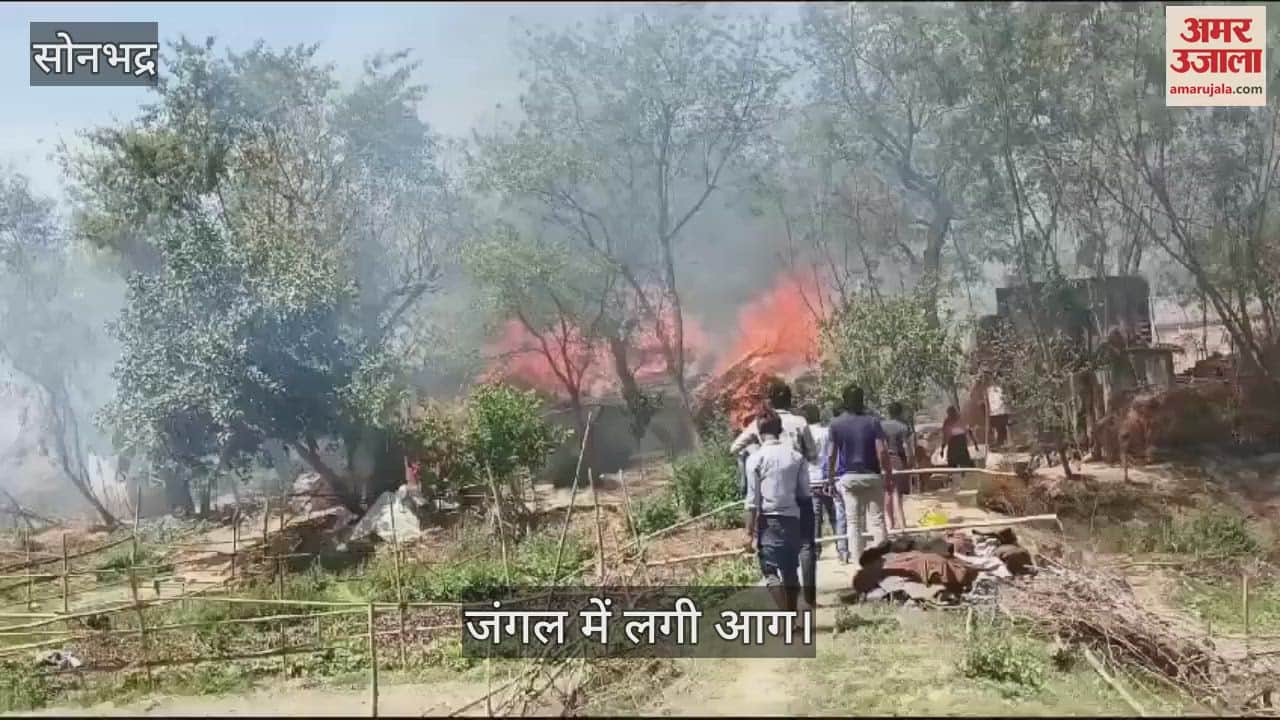 VIDEO : Gram Pradhan representative burnt while trying to extinguish forest fire in sonbhadra