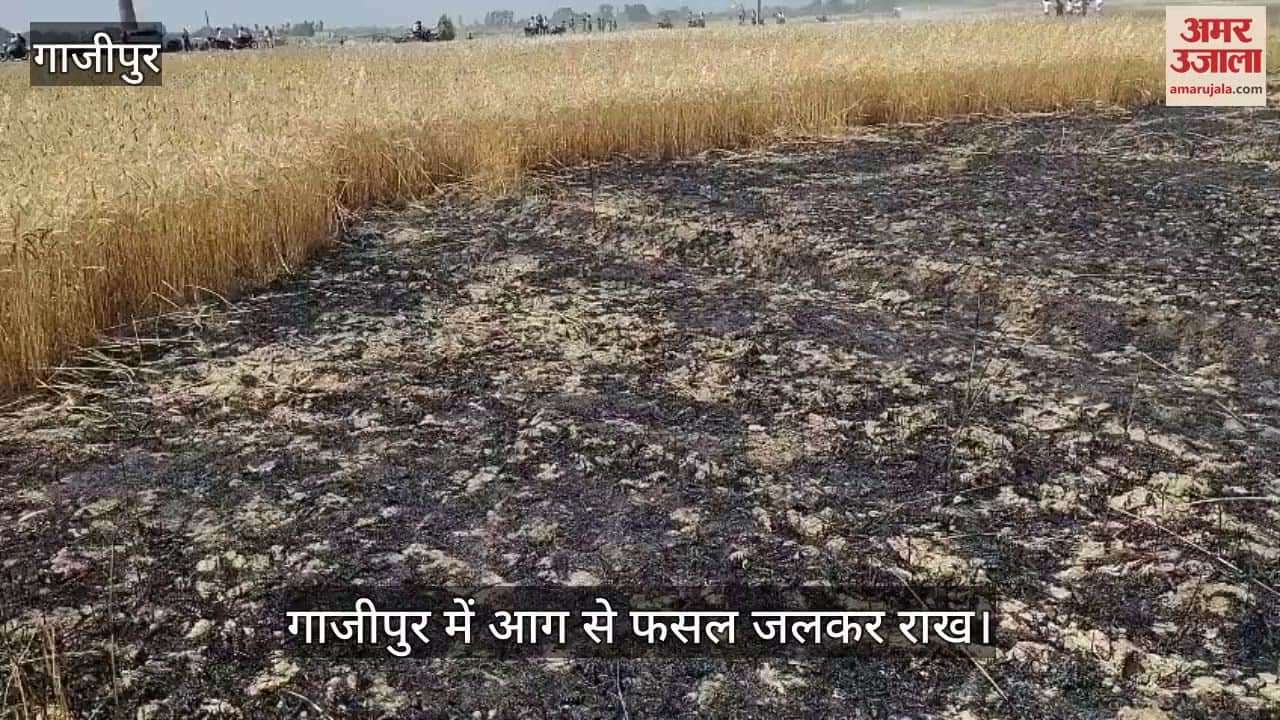 VIDEO : fire in Ghazipur Two bighas of wheat crop burnt due to short circuit