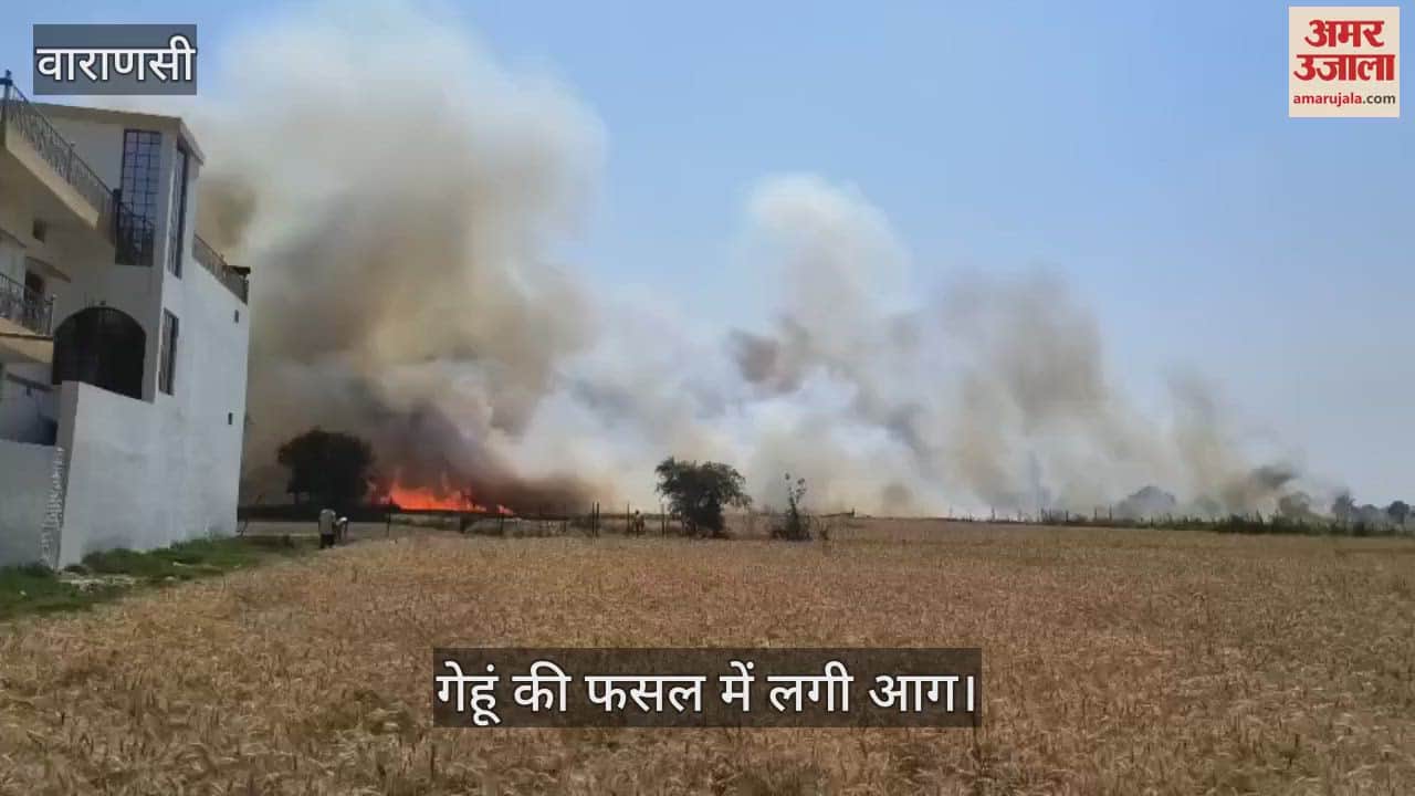 VIDEO : Fire broke out due to short circuit in Varanasi, 10 bigha wheat crop burnt to ashes