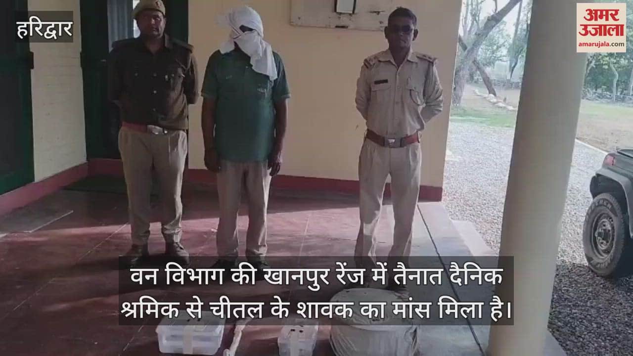 VIDEO : Meat of a chital cub found with a daily wage labourer in Haridwar, accused arrested
