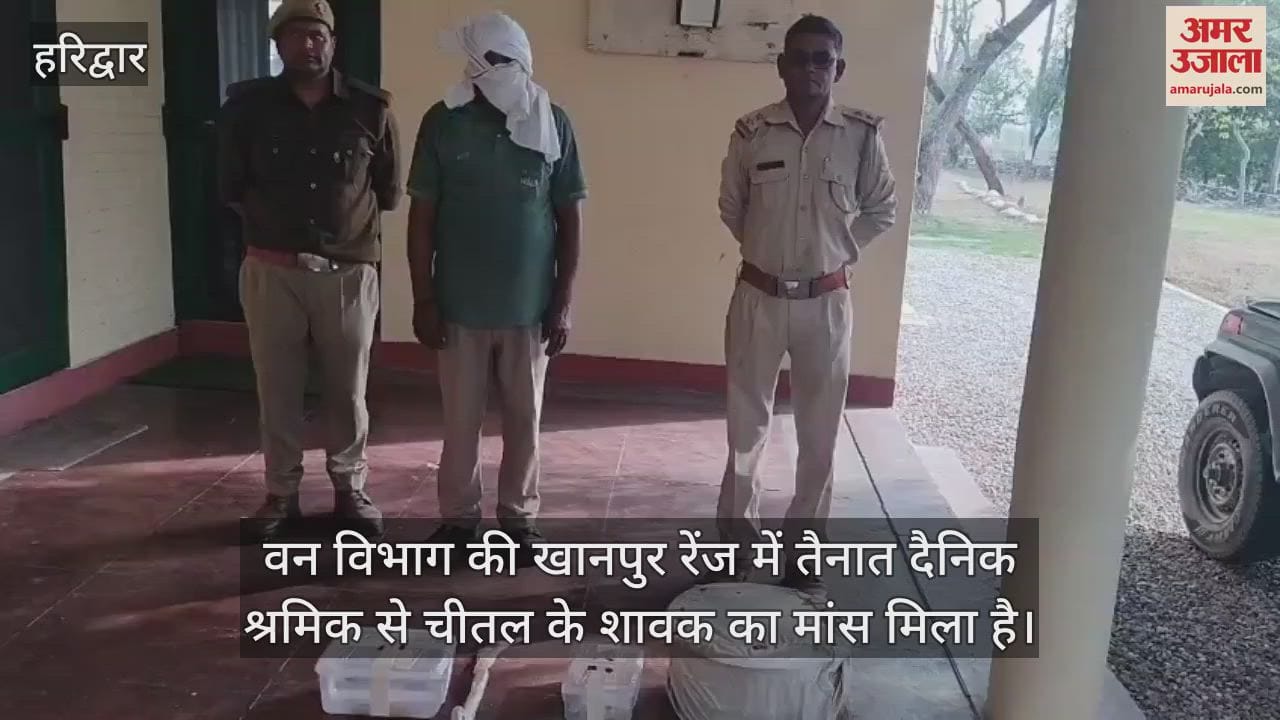 VIDEO : Meat of a chital cub found with a daily wage labourer in Haridwar, accused arrested