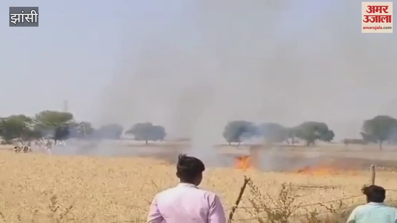 VIDEO : An electric wire fell on six bighas of standing wheat crop, all the hard work of the farmer was wasted