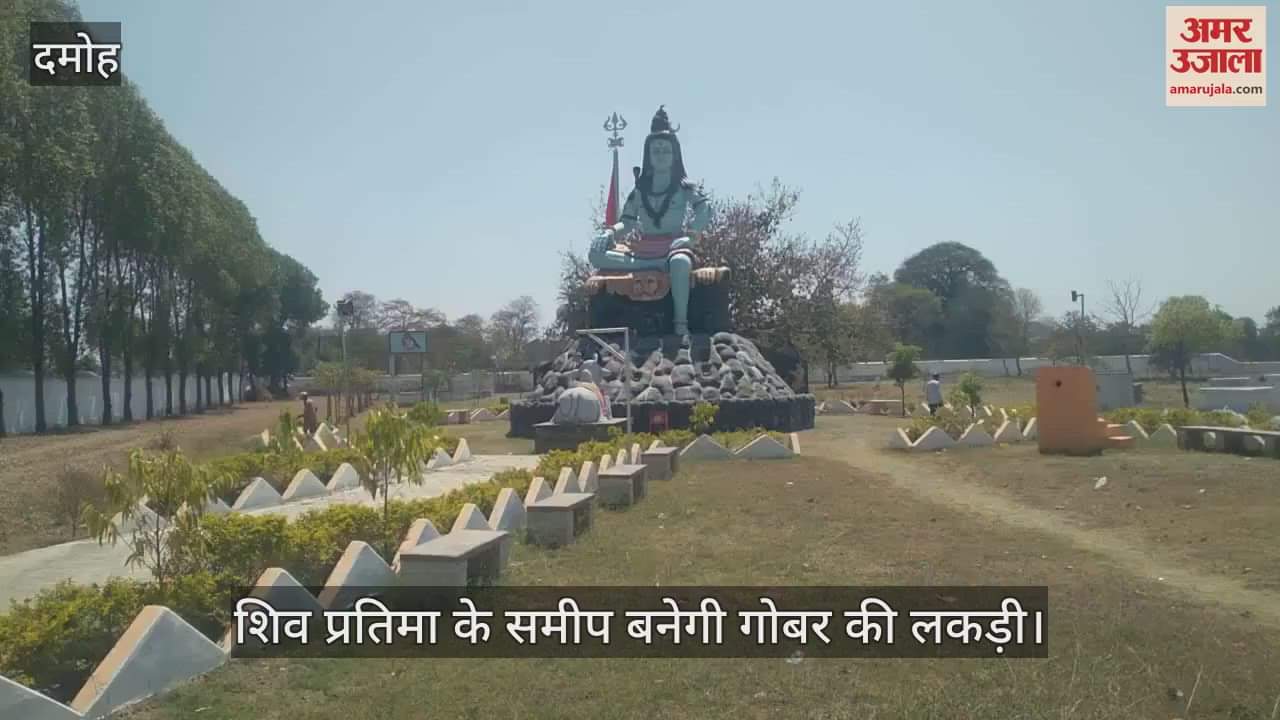 Damoh Cow dung cakes will be used instead of wood in last rites Muktidham members saw experiment Ujjain-Dewas