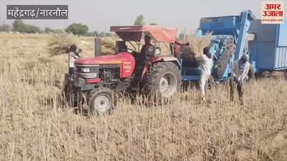 VIDEO : Back-to-back machines have become the first choice of farmers in Mahendragarh, mustard cultivation is increasing rapidly