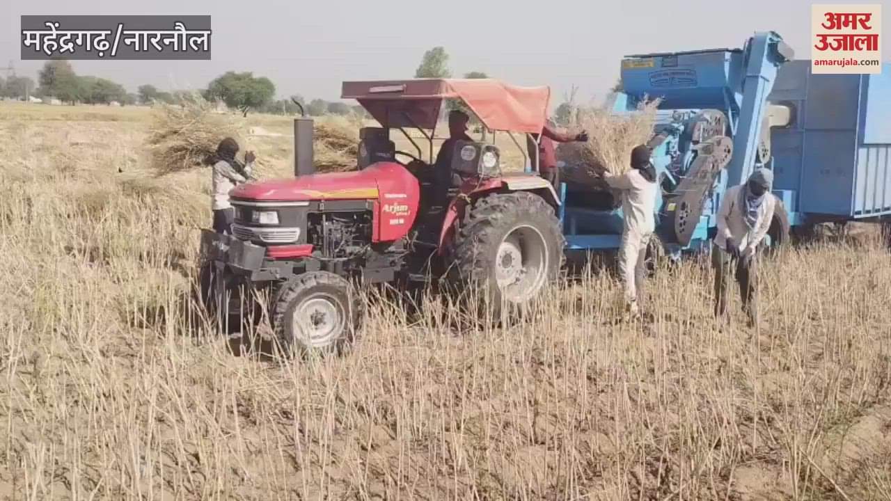 VIDEO : Back-to-back machines have become the first choice of farmers in Mahendragarh, mustard cultivation is increasing rapidly