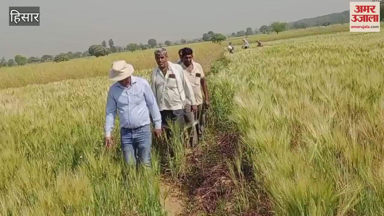 VIDEO : team of Central Wheat and Barley Research Center, Karnal reached Bahbalpur in Hisar
