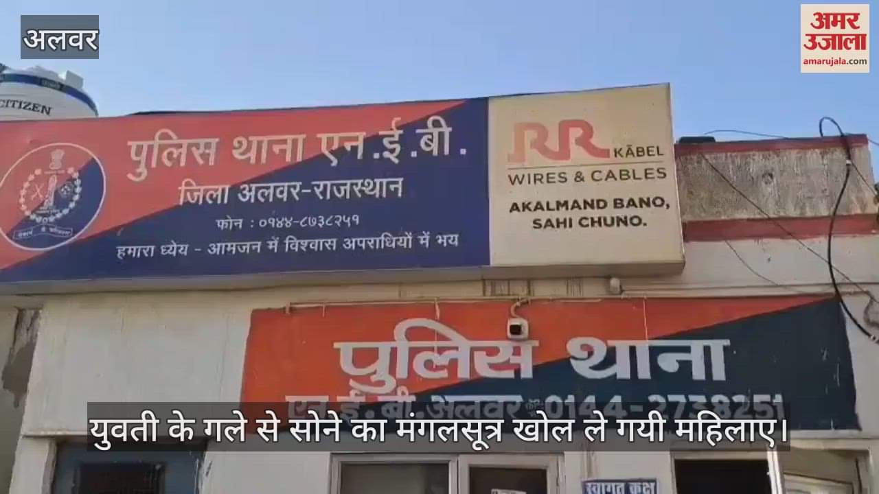 Alwar News: Women Traveling in E-Rickshaw Snatch Mangalsutra from Young Woman and Escape Midway