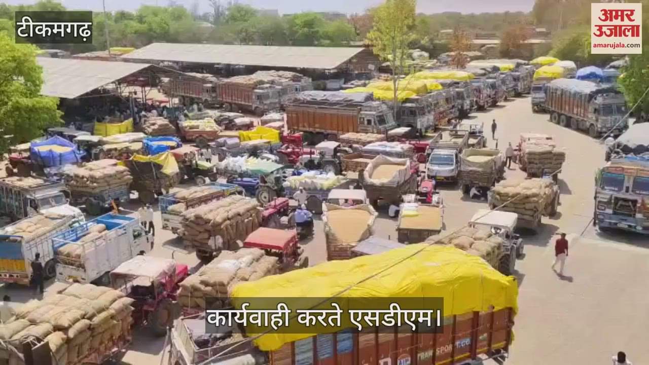 Tikamgarh News: The administration seized wheat worth 5 crore rupees
