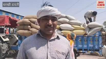 VIDEO : दादरी मंडी में पहुंची 13,291 क्विंटल सरसों, 12 दिन बाद भी खरीद शुरू नहीं, किसान परेशान