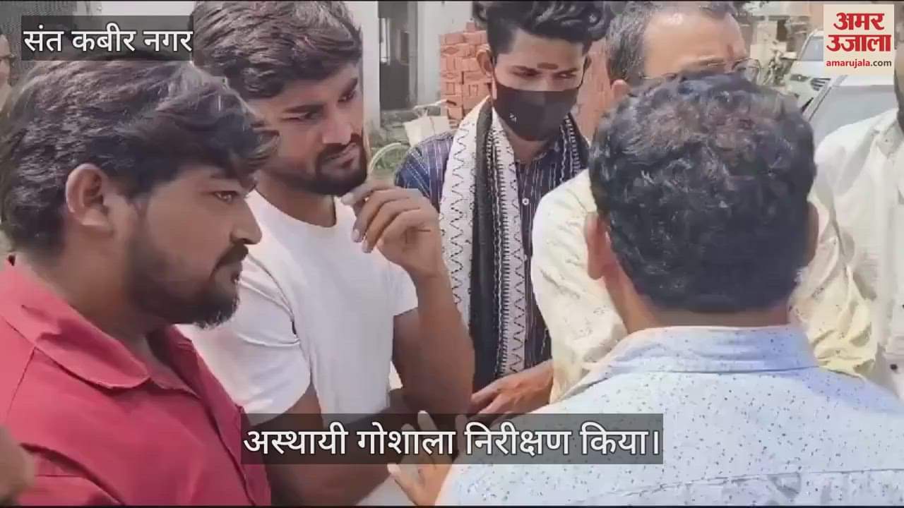 VIDEO : Inspection of temporary Gaushala was done, deficiencies were found