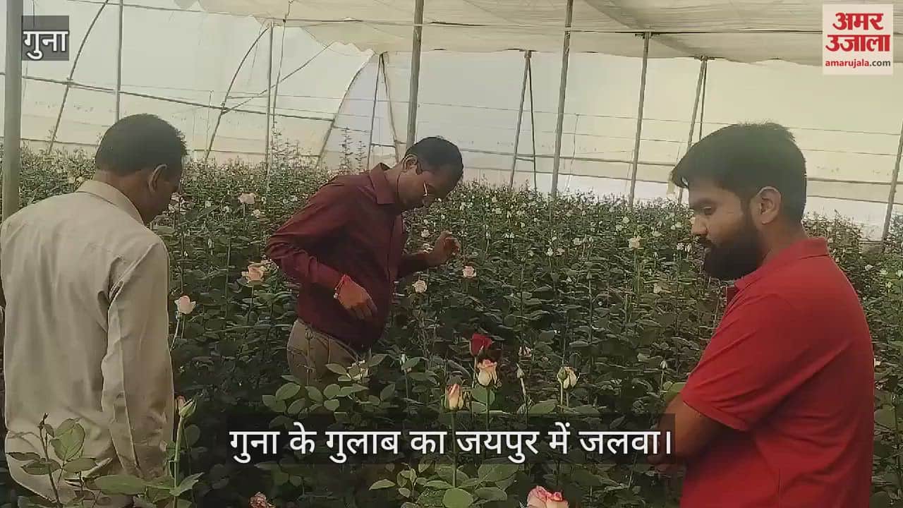 Guna News: Rose farming becomes a new source of income in Guna