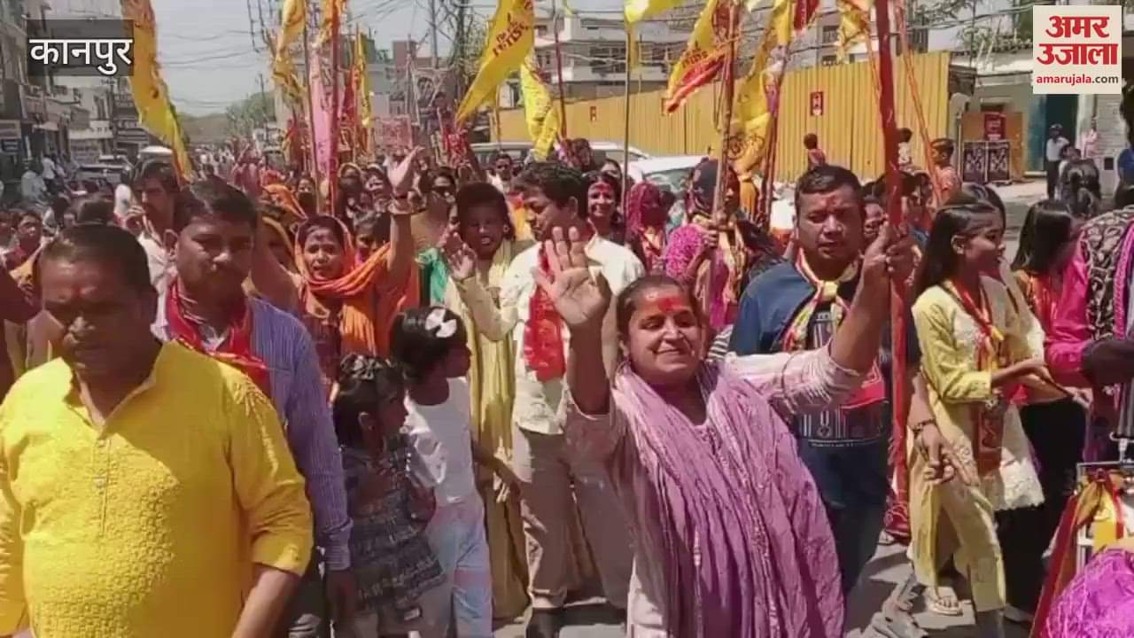 VIDEO : Shobha Yatra was taken out and people chanted in praise of Salasar Balaji