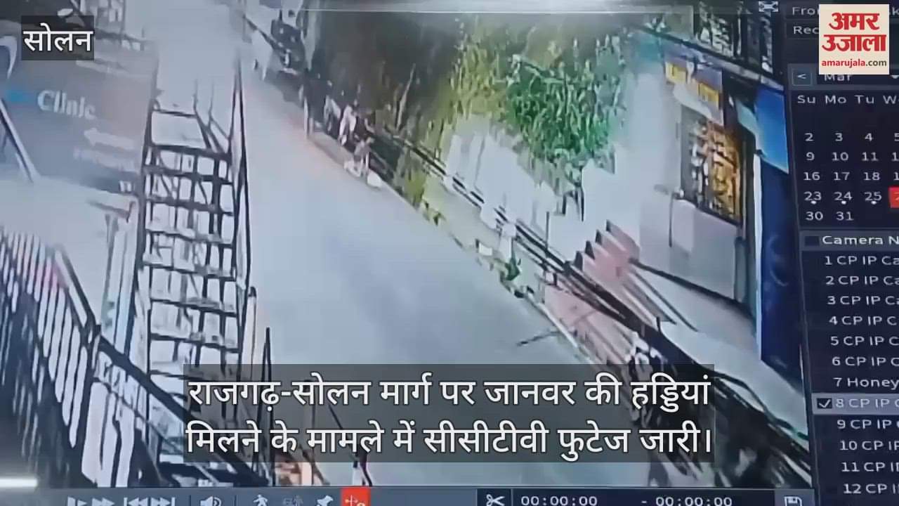 VIDEO : CCTV footage released in the case of animal bones found on Rajgarh-Solan road