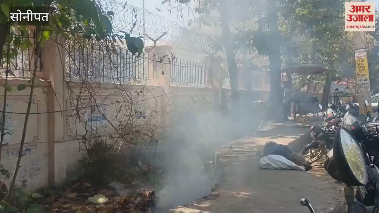 VIDEO : Honey bees create terror in Sonipat's mini secretariat, many people get bitten