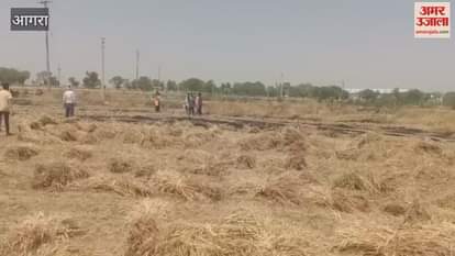 VIDEO : Wheat crop caught fire