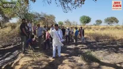 VIDEO : 50 bigha of tur and wheat crop burnt, farmers extinguished fire with tree branches