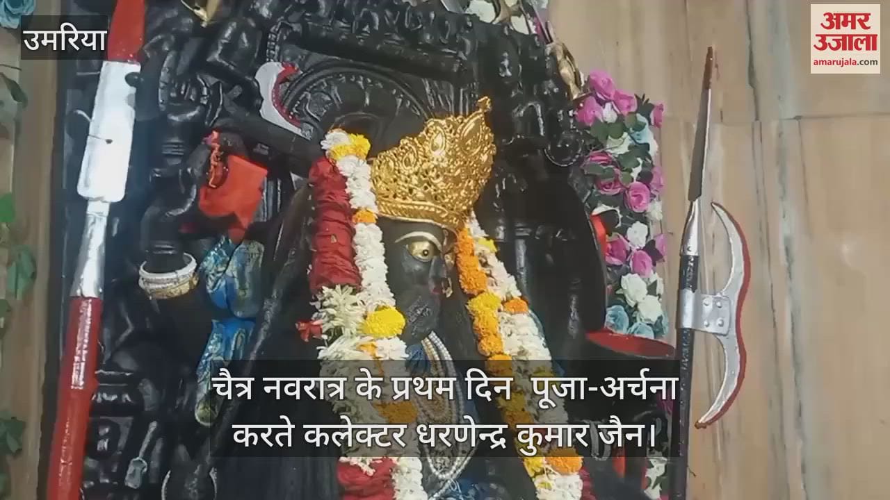 Umaria News: Collector Dharnendra Kumar Jain offered prayers at Maa Birasini temple