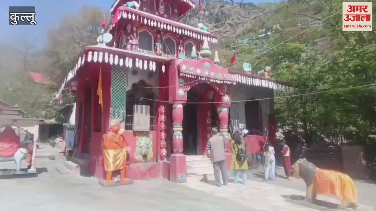 VIDEO : As soon as Chaitra Navratri started devotees gathered in the temples of Mata prayed and took blessings