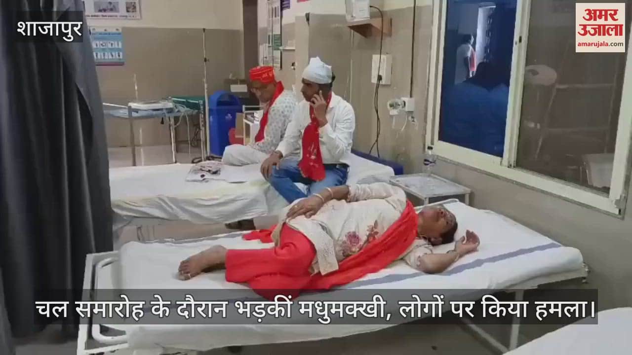 Shajapur News: Bees attacked people during the procession