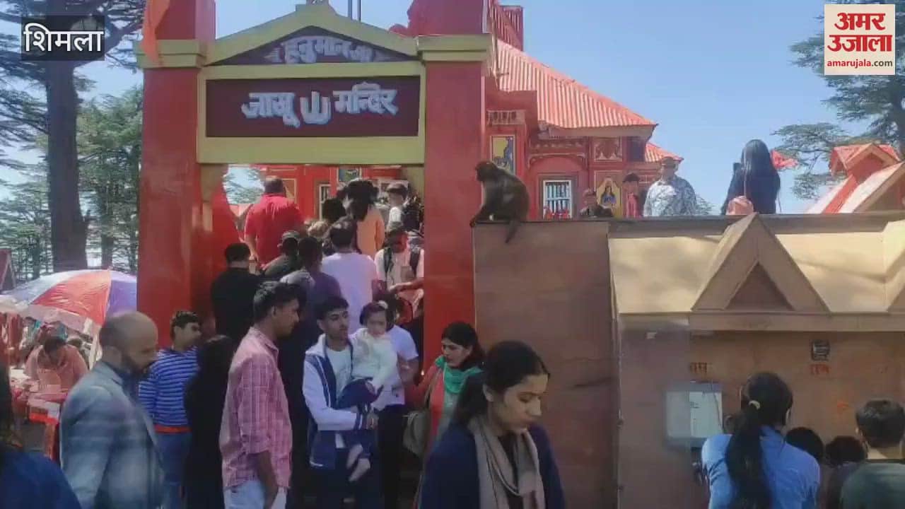 VIDEO : Crowds of devotees gathered at the famous Jakhu temple in Shimla