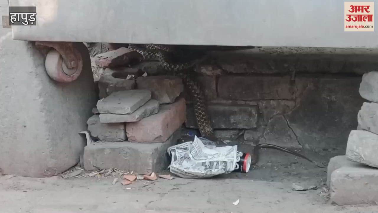 VIDEO : People are scared of a poisonous snake that came out of a shop in Hapur