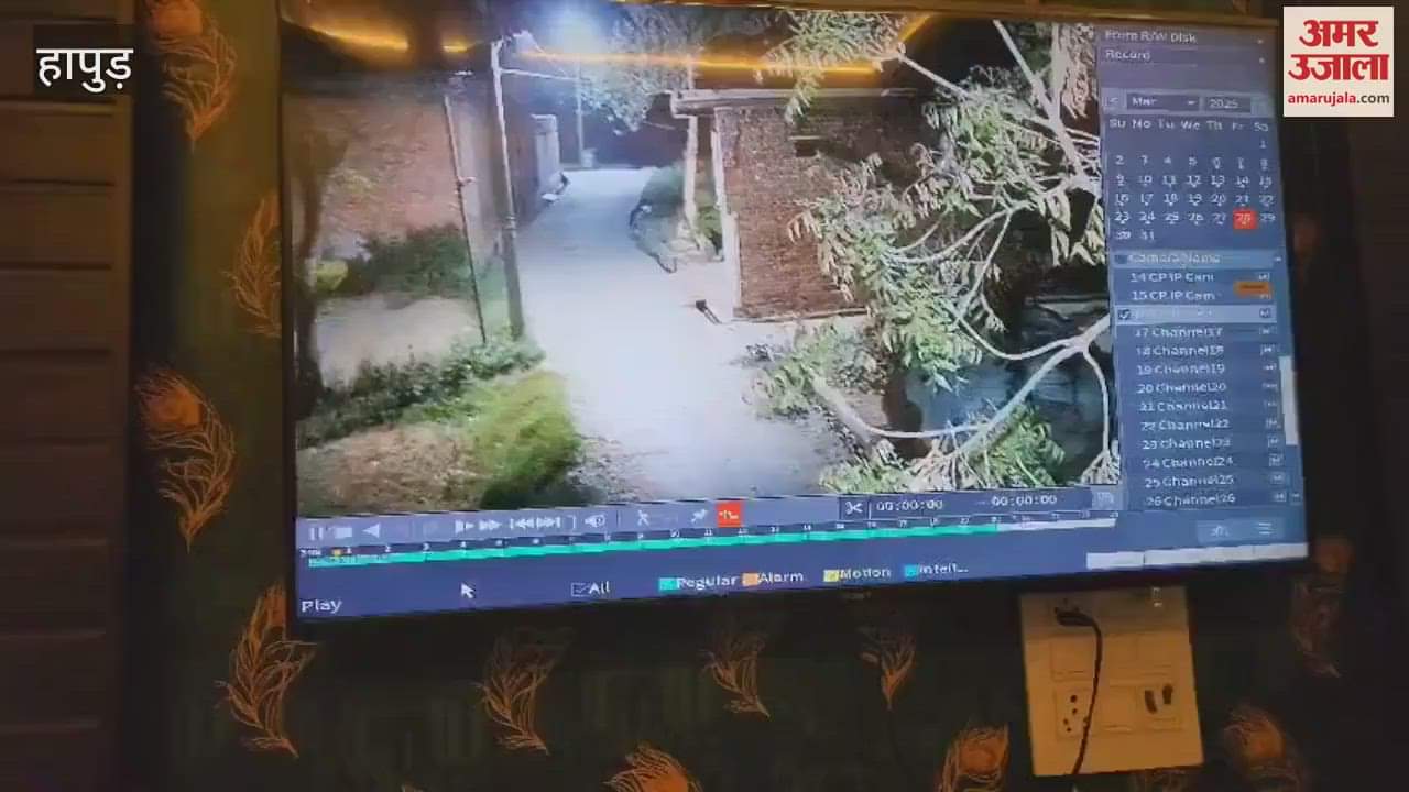 VIDEO : Thieves entered the house with the intention of theft in Hapur