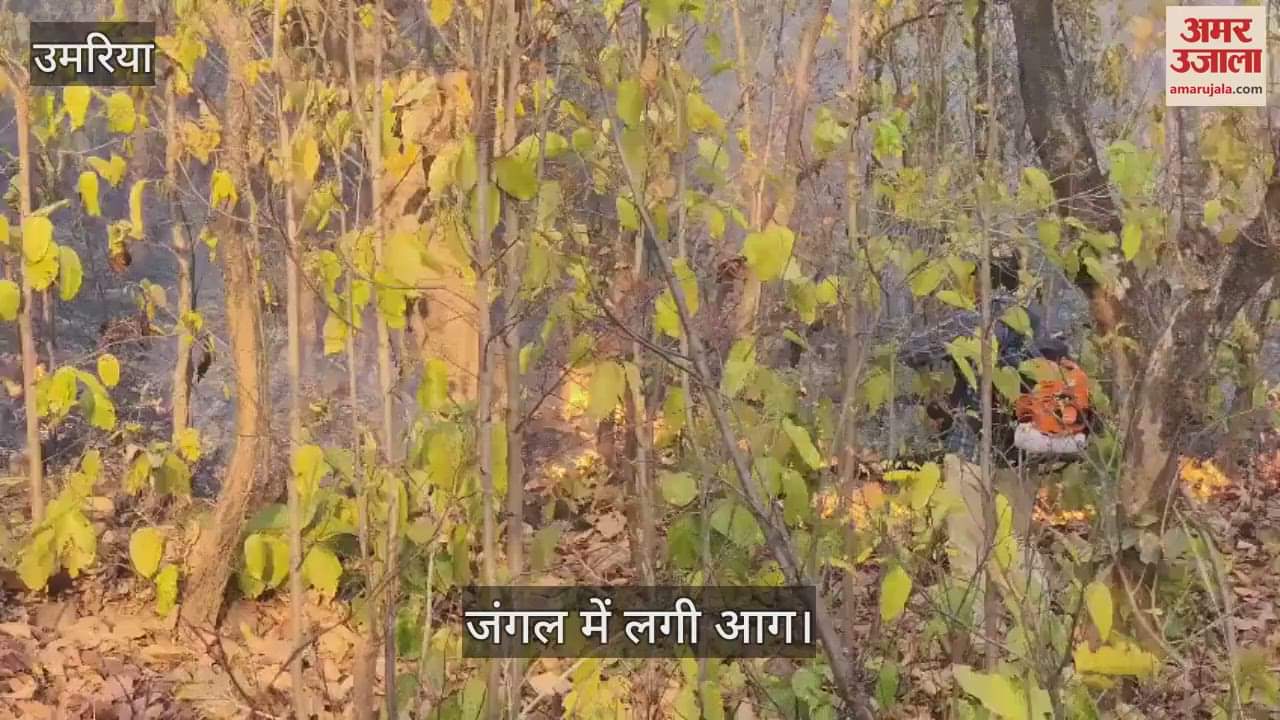 Umaria News: The fire set by villagers in Banoda-Barbaspur forest poses a danger