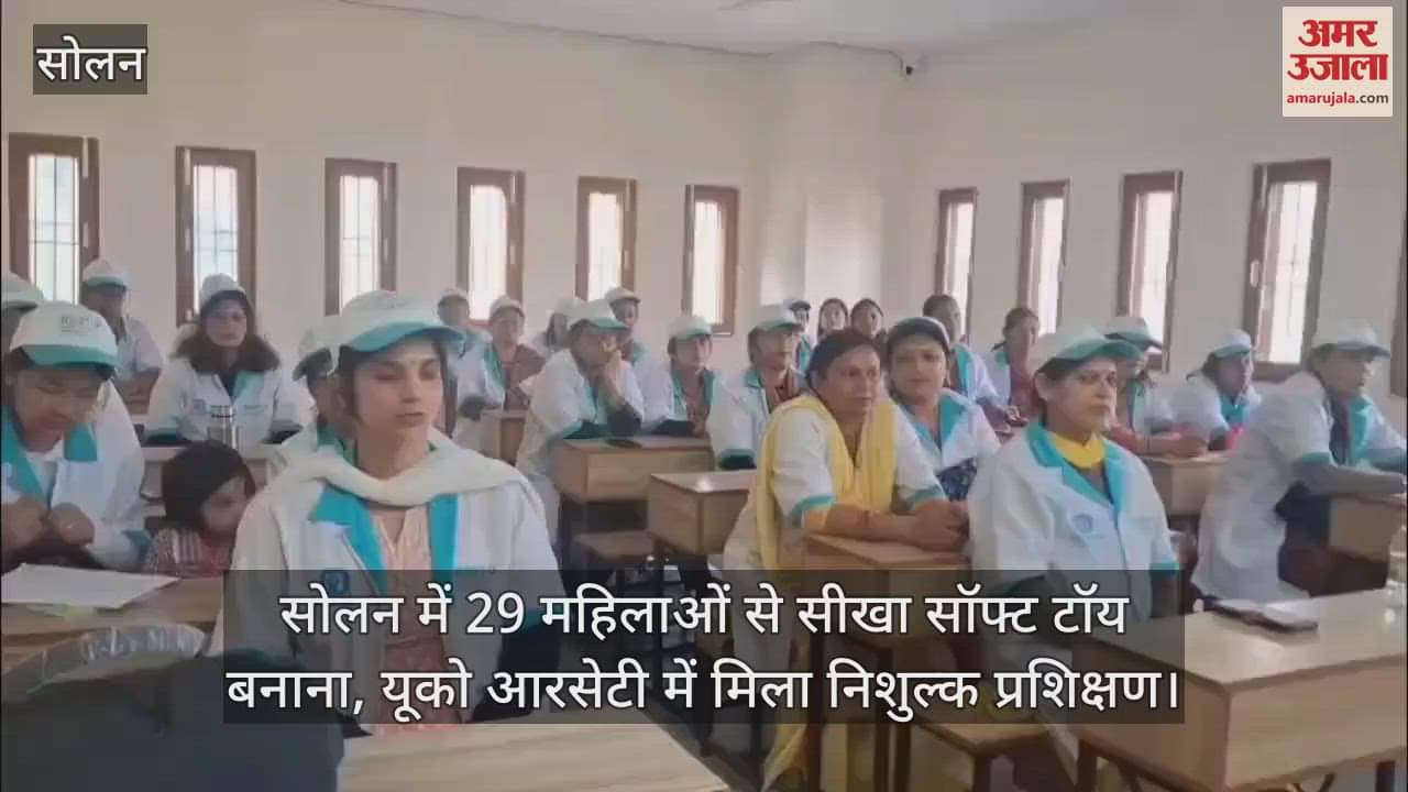 VIDEO : 29 women in Solan learnt to make soft toys, got free training at UCO ARSETI