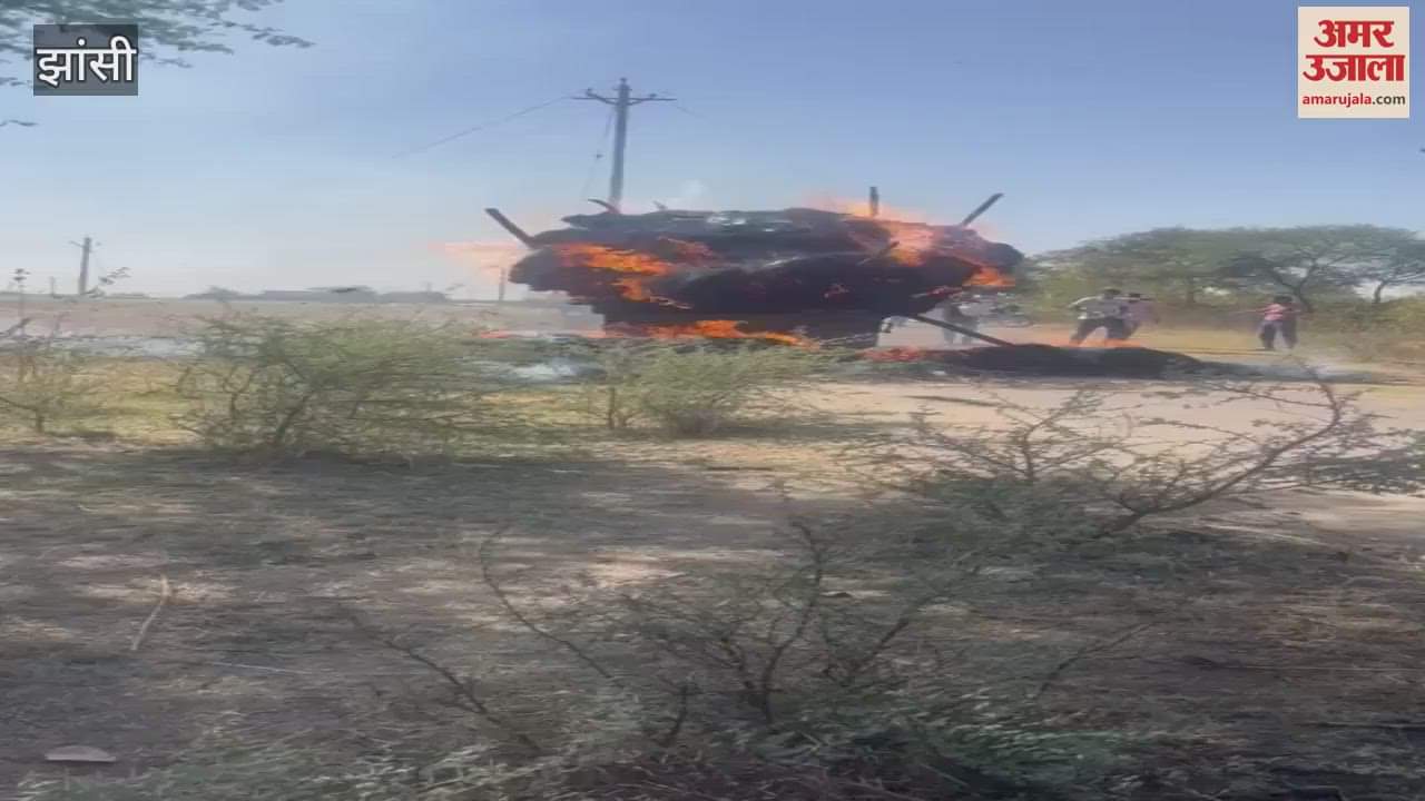 VIDEO : crop of Jenhu was burnt to 11 thousand volt electric shock