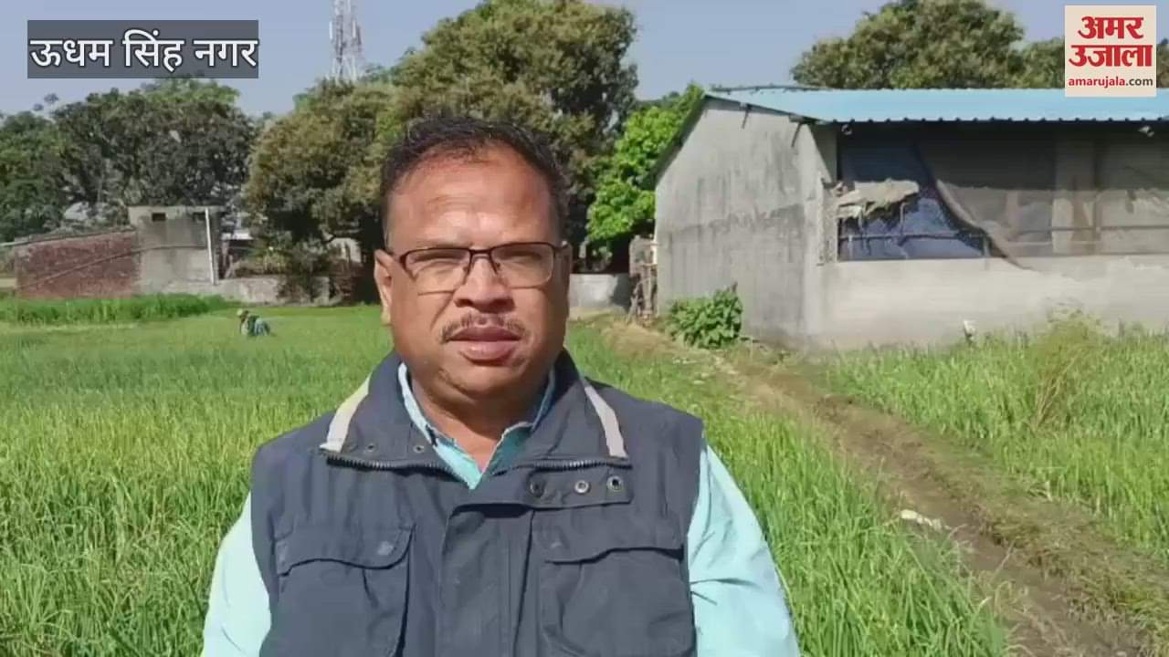 VIDEO : प्री-होल प्लास्टिक मल्चिंग पेपर से बढ़ेगी 30-35 प्रतिशत पैदावार, प्रदेश में पहली बार कुंडेश्वरी के किसानों ने इस विधि को अपनाया