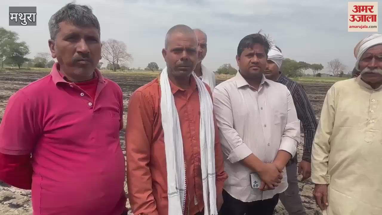 VIDEO : मथुरा में जल गई 50 बीघा गेहूं की फसल, रो पड़े किसान; बोले- भूखे मर जाएंगे बच्चे
