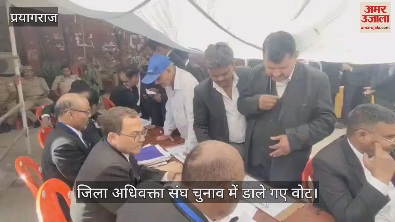 VIDEO : The court was transformed into a cantonment for the District Advocates Association elections, a large number of lawyers exercised their franchise
