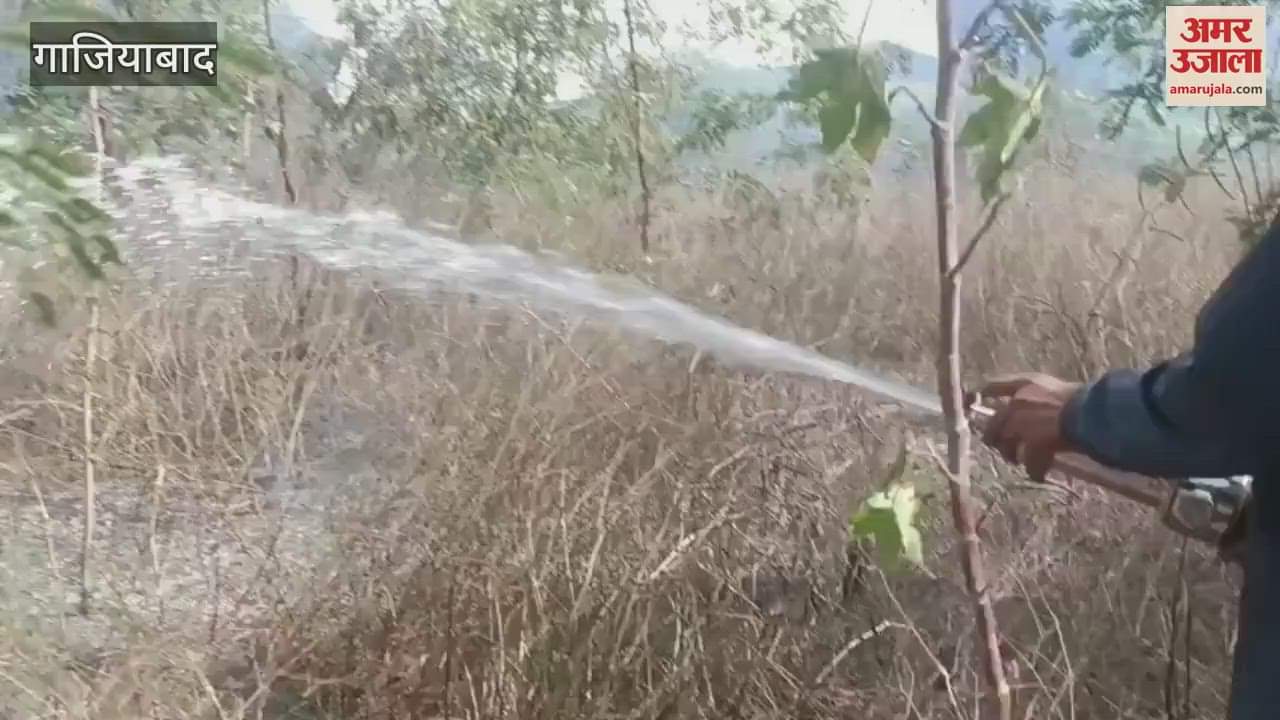 VIDEO : Fire spread on vacant land of industrial area